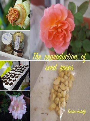 cover image of The reproduction of seed roses